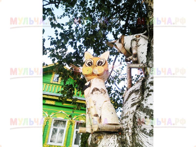 Кот Ученый Фото